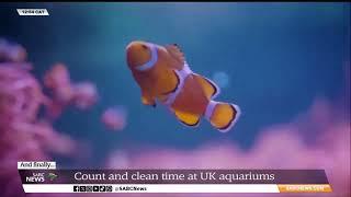 Count and Clean time at aquariums across the United Kingdom