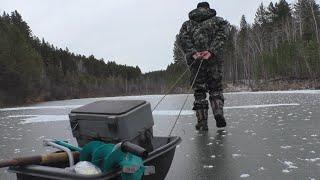 Открытие сезона 2021-22! Рыбалка на лесном озере! Первый лёд! Балансир! Мормышка!