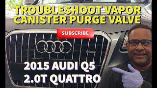 2011-2023 AUDI Q5 2.0T QUATTRO, Tips for troubleshooting a Vapor Canister Purge Valve