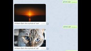 Node-red Iot Server & Telegram bot - Part 2: Search & display photo using telegrambot  (Windows 10)