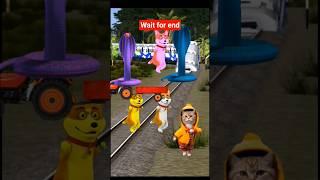Cute dog beby stop train by dance #trending #cute #funny