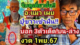 3ตัวเน้นๆ!ฝัน2คืนซ้อน#อาจารย์แมว!ปล่อยฝันล่าสุด!เผย#ปู่ขาว!เข้าฝันบอก(1พย.67)โชคใหญ่ห้ามพลาด!!