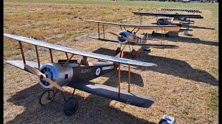 DAWN PATROL - 1/3 SCALE RC WW1 SCOUT / FIGHTERS DISPLAY AT THE STOW MARIES WW1  AERODROME - 2024