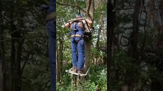 The struggles of Ted Boogie to get in a tree stand climber