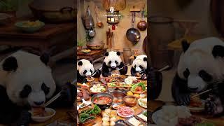 Panda's Party #panda #cutepanda #pandaeatingbamboo