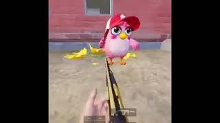 ANGRY BIRD IN PUBG ||NEW UPDATE IN PUBG MOBILE KOREAN VERSION ️#SHORTS #UNKNOWNGAMER #FLARE #CUTE