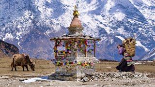 Where Tibet and Nepal Meet: Tsum Valley Trekking, Nepal Himalaya