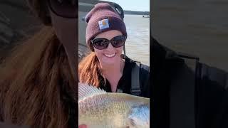 Winter Time Giant Crappie!!! #fishing #fish #viralvideo #like #viralshorts #crappie #countrymusic