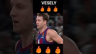 Jan Vesely