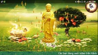 Very good Buddhist recitation music - NAMO Amitabha Buddha | Buddhist Sutras Media