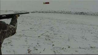 Kansas Snow Goose Hunt 2014 - Cow Decoy Field Jump