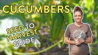 How to Grow Delicious Cucumbers: Success from Seed to Harvest