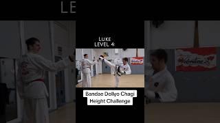 Reverse Turning Kick Height Challenge #taekwondo #martialarts #challenge #sports #popular #trending