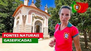 THIS IS WHAT YOU FIND TRAVELING THROUGH THE INTERIOR OF PORTUGAL