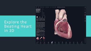 Explore the Beating Heart in 3D on Complete Anatomy