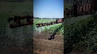 Case IH Patriot 3330   #case #farming  #cortevaagriscience #shorts