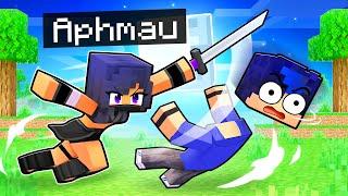 Playing Minecraft as a PROTECTIVE NINJA!