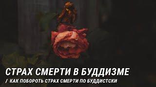 Страх смерти в буддизме. Как побороть страх смерти близких и своей смерти по буддистски. Бесстрашие