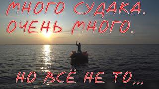 Судак На Джиг.  Лучшие Приманки на Судака в Действии | ▶ Fishing 2023