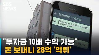 "투자금 10배 수익 가능"…돈 보내니 28억 '먹튀' / SBS