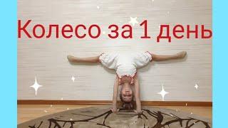 Учимся делать колесо.колесо за 1 день.