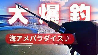 【釣り方解説あり】史上最多！－15℃の十勝の海でアメマスが爆釣！！！初めての海アメ、遂に今シーズン初の釣りの神様降臨…