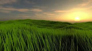 Grass Rendering: Geometry-Shader (DirectX 11)