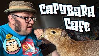 Capybara Cafe - Helen, GA - Jenn's First Time in Helen - German Bavarian Town in Georgia