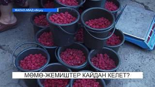 Мөмө жемиштер кайдан келет?