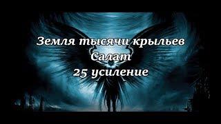 Аллоды Онлайн. Земля 1000 крыльев. Салат 25 усиление.