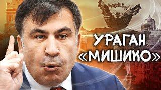 Ураган Мишико. Линия защиты