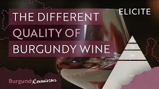 How To Tell The Quality Of A Burgundy Wine