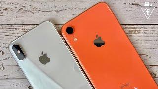 iPhone XR и XS в 2020 - какой выбрать