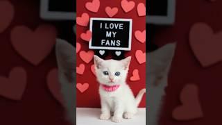 Theres only ONE Tiny Cat #trending #tinycat #apt #cat #cute #trend #viralsong #shorts #DreamScreenAI