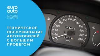 Техническое обслуживание автомобиля с большим пробегом. Отвечаем на частые вопросы. ЕвроАвто