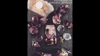 Scorpio December 2020 Astro  Tarot Reading - Receiving your settlement. All coins!