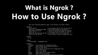 What is Ngrok? How to Use Ngrok in Windows ? XAMPP