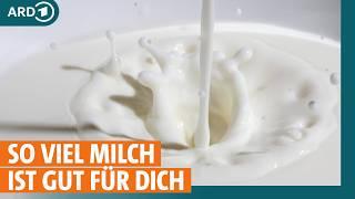 Milch, Käse und Co: So viel ist gesund I ARD Gesund