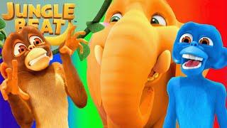 Colorful Animals! | Jungle Beat | Cartoons for Kids | WildBrain Happy