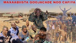 YAAB IIDOORKII CAAWA DHULBAHANTE KADALBADAY IN HUBKII GOOJACADE LOO SO CELIYO MAXAABIIS LOO SIIDAAYO