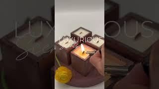 MalveConcept. Luxury Soy Wax Candle. Trendy Gift Idea. Aesthetic Candle. Vegan. Made in Germany.