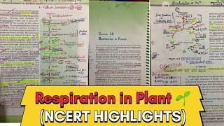 Respiration In Plant  (For NEET) **NCERT HIGHLIGHTS** Biology  class 11th #neet2024 #neet