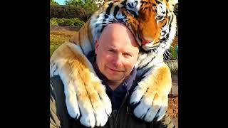 Template to video 丨 AI Tiger Hug