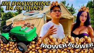 GSD-GETTING SH!T DONE STORAGE SHED REPAIR-PICKING UP 50,000 ACORNS & HIPA CARBURETOR REPLACEMENT