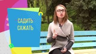 Эрудит: садить или сажать