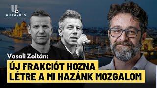 Magyar Péter: Az Európai Parlamenti mandátum mentheti meg? - Vasali Zoltán