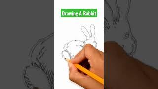 Drawing A Rabbit | Draw a Sketch #shorts