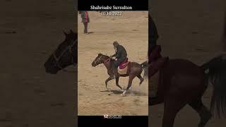 G'iyoz  polvon Shahrisabz Xazaradan #shorts  #horse #alochi #kopkari