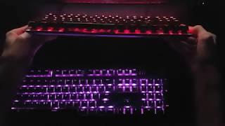 HP Pavilion Gaming Keyboard 500 vs HyperX Alloy FPS Pro - Review !