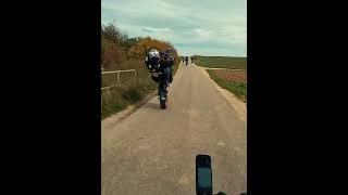 Sumo Wheelie